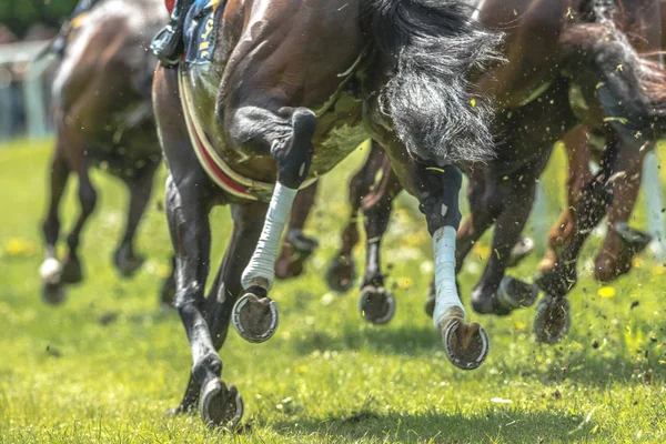 Back of racehorses and their hooves in full speed at Nationaldag — Stock Photo, Image