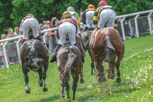 Back of horses with jockeys out of a curve in fast pace at Natio — Stock Photo, Image