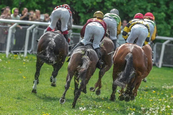 Baksidan av hästar med jockeyer ur en kurva i snabb takt på Natio — Stockfoto