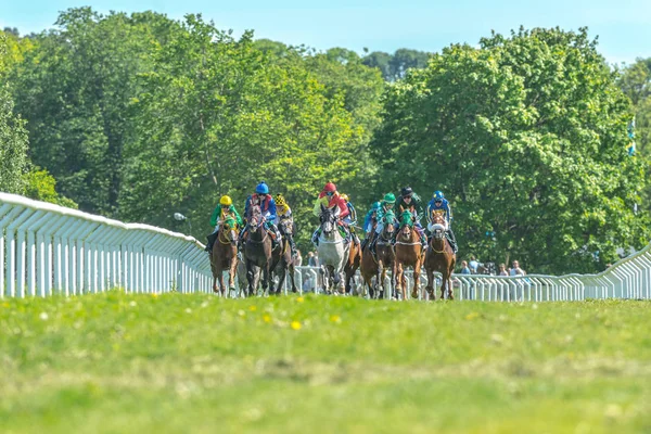 Nationaldagsgaloppen uzun mesafede, jockeys atlarla — Stok fotoğraf