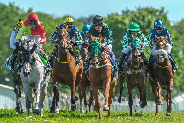Gruppe von Pferden mit Jockeys aus einer Kurve in schnellem Tempo bei nati — Stockfoto