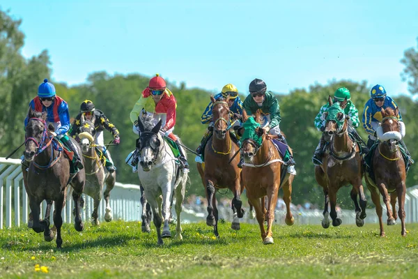 Jockeys hızlı eğrideki dışarı atlar Nationaldagsg hızda — Stok fotoğraf