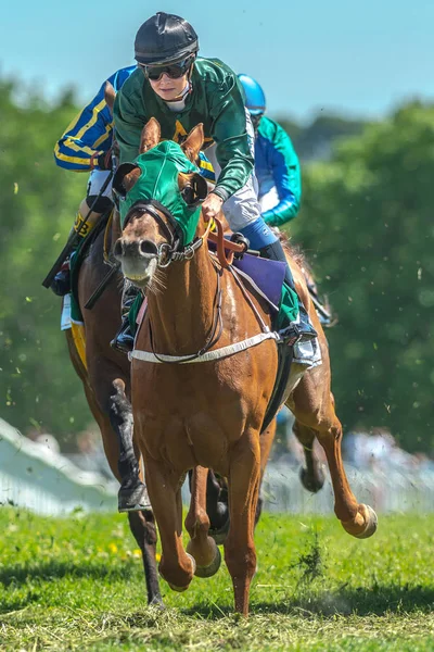 Jockey and racehorse at Nationaldagsgaloppen at Gardet — Stock Photo, Image