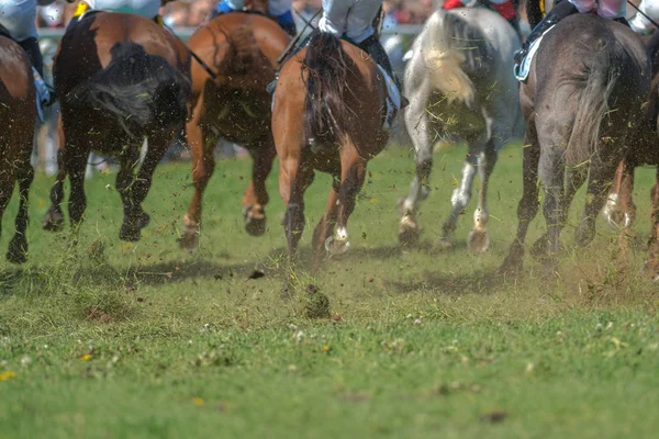 Back of horses with jockeys out of a curve in fast pace at Natio — Stock Photo, Image