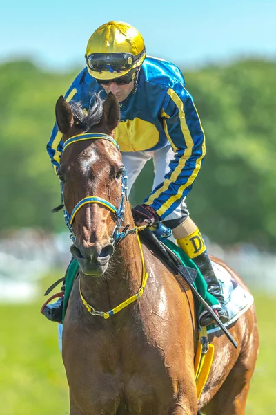 Jockey and racehorse at Nationaldagsgaloppen at Gardet — Stock Photo, Image