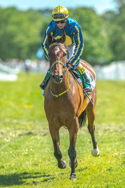 Jockey och tävlingshäst på Nationaldagsgaloppen vid Gardet — Stockfoto