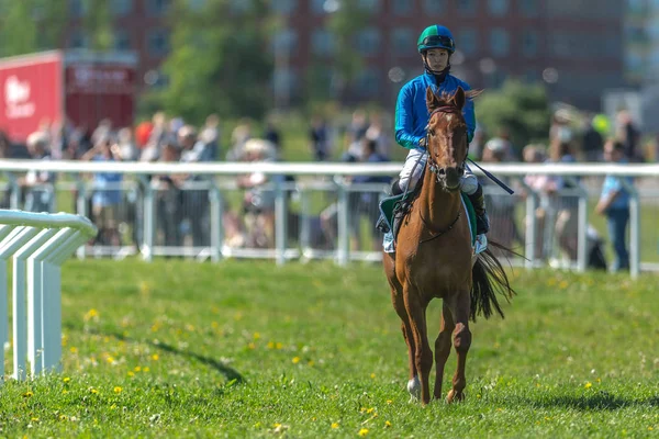 Jockey en renpaard op Nationaldagsgaloppen bij Gardet — Stockfoto