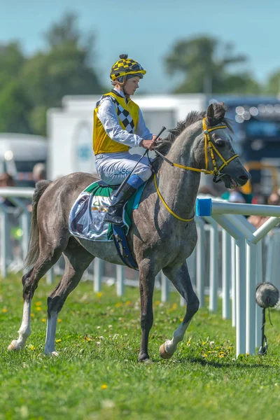 Jockey and racehorse at Nationaldagsgaloppen at Gardet — Stock Photo, Image