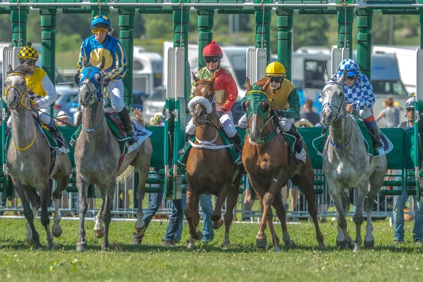 Start reeks met snelle paarden en jockeys op Nationaldagsgalop — Stockfoto