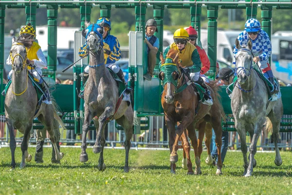 Hızlı atlar ve binicileri, Nationaldagsgalop sırası başlamadan
