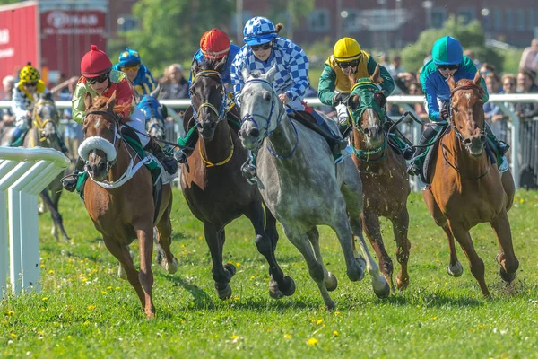 Horses with jockeys out of a curve in fast pace at Nationaldagsg — Stock Photo, Image