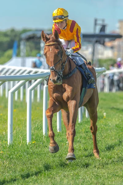 Žokej a dostihový kůň na Nationaldagsgaloppen v Gardet — Stock fotografie