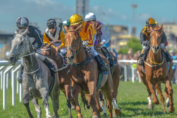 Horses with jockeys out of a curve in fast pace at Nationaldagsg — Stock Photo, Image