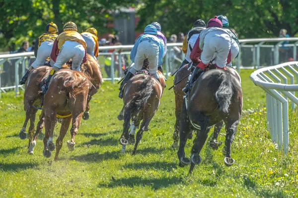 Back of horses with jockeys out of a curve in fast pace at Natio — Stock Photo, Image
