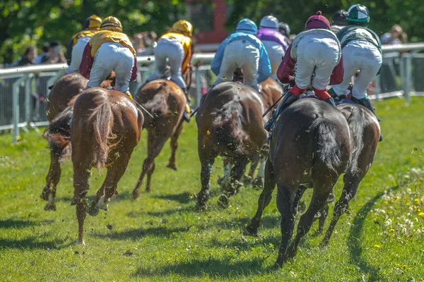 Back of horses with jockeys out of a curve in fast pace at Natio — Stock Photo, Image