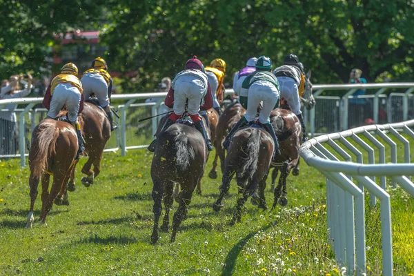 Espalda de caballos con jinetes fuera de una curva a paso rápido en Natio —  Fotos de Stock