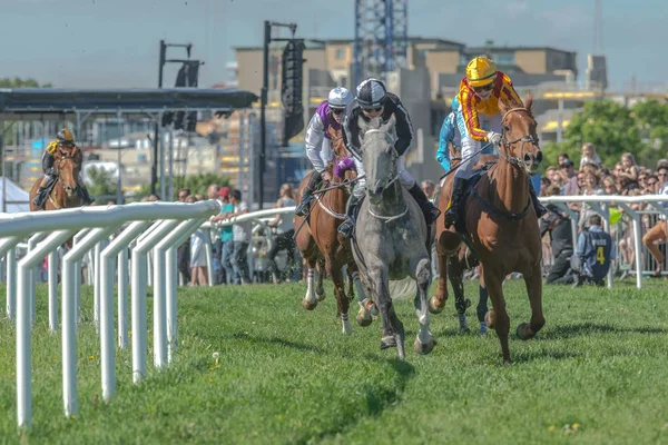 Horses with jockeys out of a curve in fast pace at Nationaldagsg — Stock Photo, Image