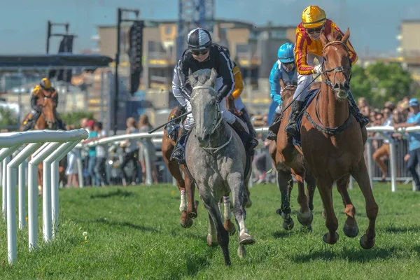 Лошади с жокеями из кривой в быстром темпе в Nationaldagsg — стоковое фото
