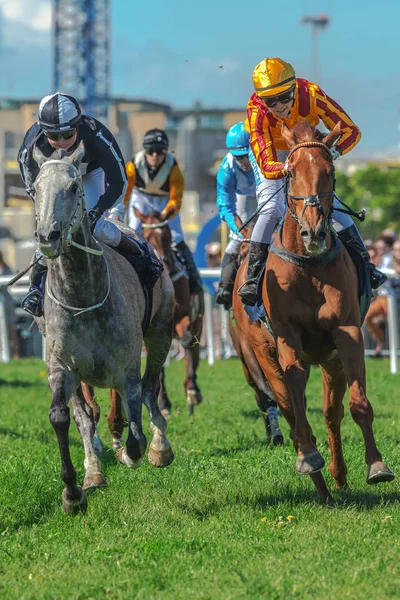 Paarden met jockeys uit een curve in snel tempo Nationaldagsg — Stockfoto