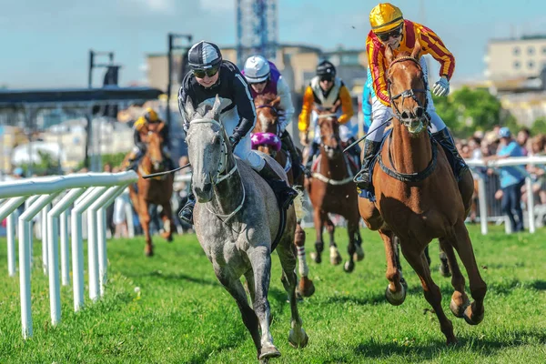 Horses with jockeys out of a curve in fast pace at Nationaldagsg — Stock Photo, Image