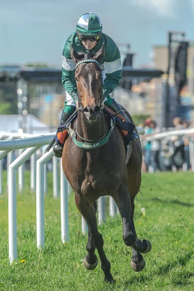 Jockey i wyścigów konnych w Nationaldagsgaloppen o Gardet — Zdjęcie stockowe
