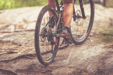 Orman BBES25AK, kökleri üzerinde arka tekerlek detayını ev