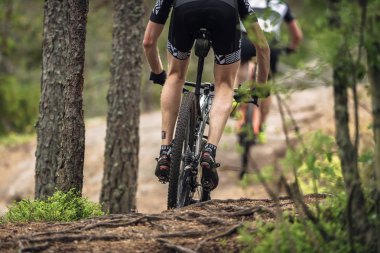 Lida MTB biniciler yemyeşil olay içinde döngü dışında ormanlarda