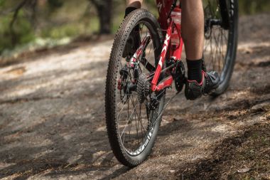 Lida MTB biniciler yemyeşil olay içinde döngü dışında ormanlarda