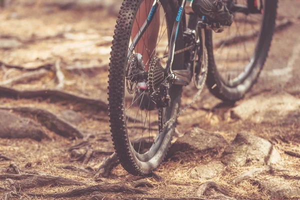 Detail van achterwiel over wortels in een bos op de mountainbike ev — Stockfoto