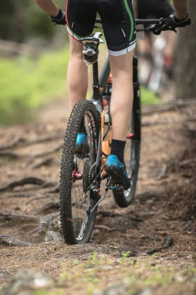 Details van de gebeurtenis Lida lus in de bossen buiten Stockho — Stockfoto