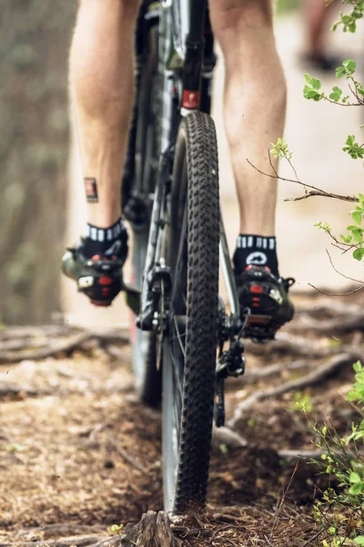 Achterkant Mtb rider fietsen via de wortels op de mountainbike evenement L — Stockfoto