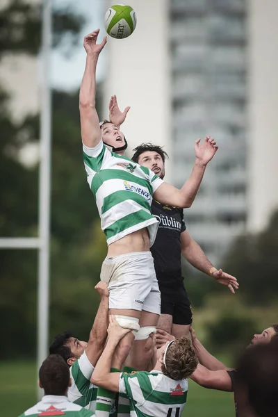 Rugby oyunu Hammarby If ve Arstafalt, Stockholm sürgünler arasında