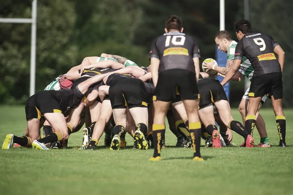 Rugby oyunu Hammarby If ve Arstafalt, Stockholm sürgünler arasında