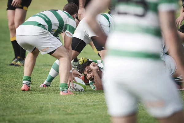 Rugby oyunu Hammarby If ve Arstafalt, Stockholm sürgünler arasında