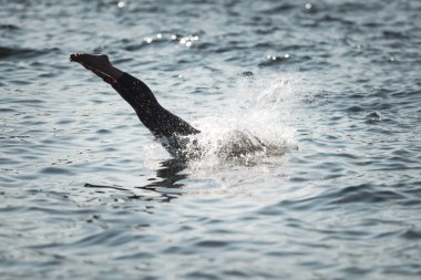 Isınma ve dışarı üzerinde je hazırlanıyor triatlon kadın yüzücüler
