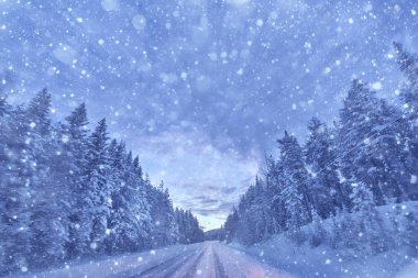 Winterroad çam ormanda kar yağışı sırasında gündoğumu