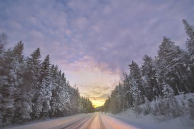 Gündoğumu sırasında çok açık bir soğuk çam ormanı içinde Winterroad 