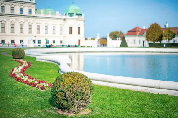 Бельведерский дворец с зеленым садом и цветами с прудом — стоковое фото