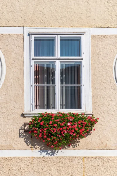 Janela de uma casa residencial com flores coloridas vermelhas — Fotografia de Stock