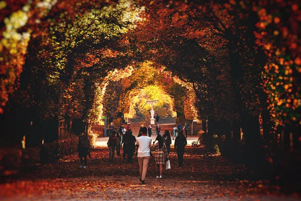 Persone che amano il bellissimo tunnel degli alberi durante l'autunno a Schon — Foto Stock