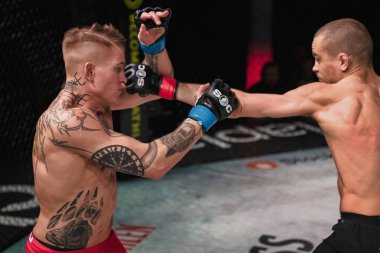 Adam Westlund ve Robin Roos arasındaki 20. Müsabaka