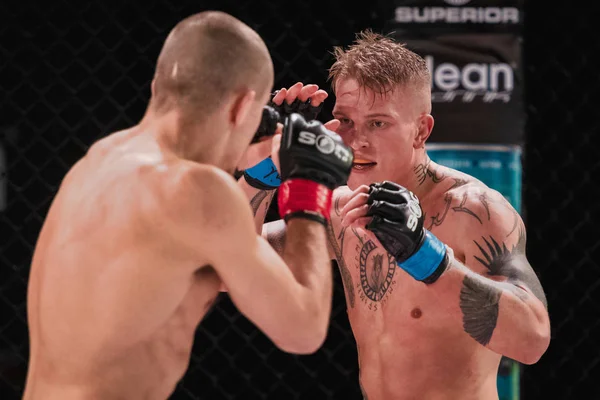 Adam Westlund ve Robin Roos arasındaki 20. Müsabaka