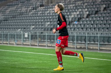Curgarden If ve Linkoping Fc arasında dostça bir futbol maçı