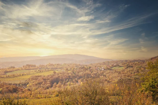 Rollend Landschap Tijdens Herfst Wazige Vroege Dag Grinzing — Stockfoto