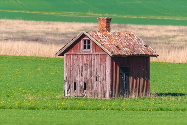 Verlassene Hölzerne Lagerscheune Rot Abgewetzten Farben Auf Einem Grünen Feld — Stockfoto