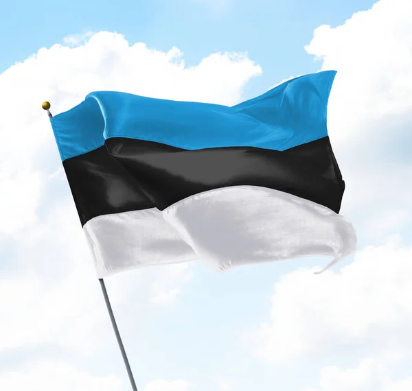Flagge von Estland — Stockfoto