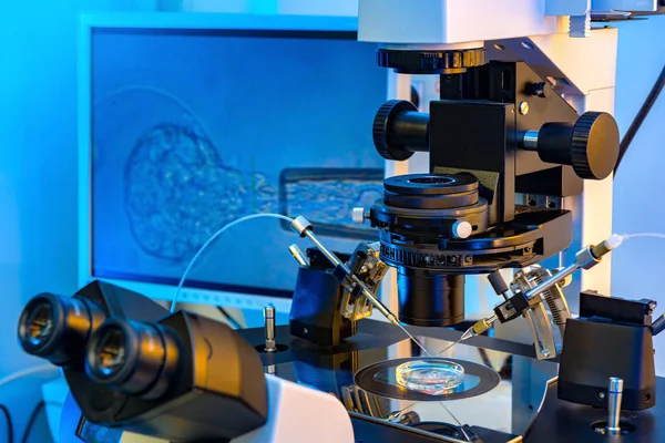 Μικροσκόπιο εξωσωματική γονιμοποίηση στο εργαστήριο — Φωτογραφία Αρχείου