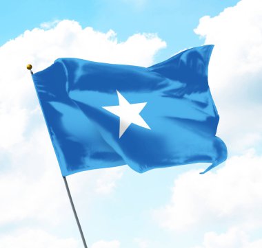 Somali bayrağı