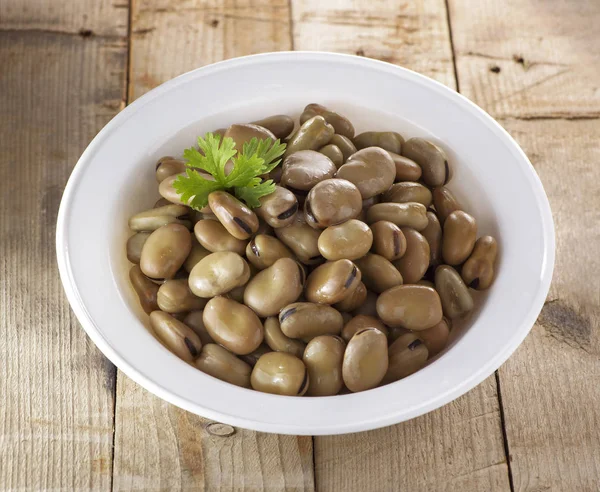 Mesir Dish of Beans — Stok Foto