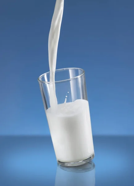 Hälla mjölk Splash i ett glas över Blå bakgrund — Stockfoto